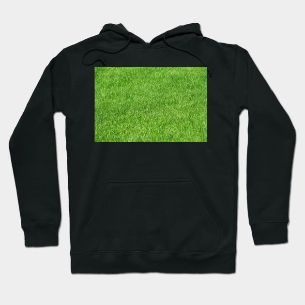 Green grass photo texture Hoodie by bigmoments